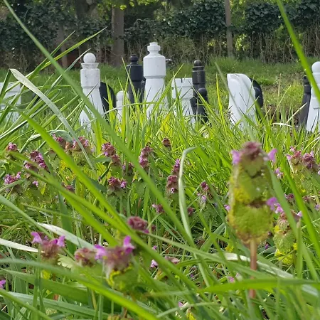 Alpstuga Gaestehaus Am Kattensteert *