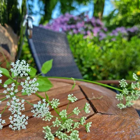 Gaestehaus Am Kattensteert