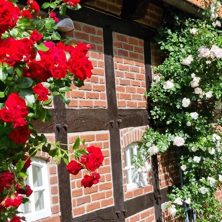 Gaestehaus Am Kattensteert * Borchel