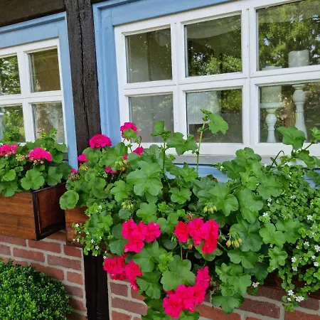 Alpstuga Gaestehaus Am Kattensteert *