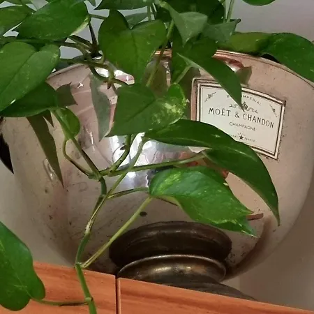 Gaestehaus Am Kattensteert Шале *