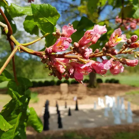 Gaestehaus Am Kattensteert Шале *