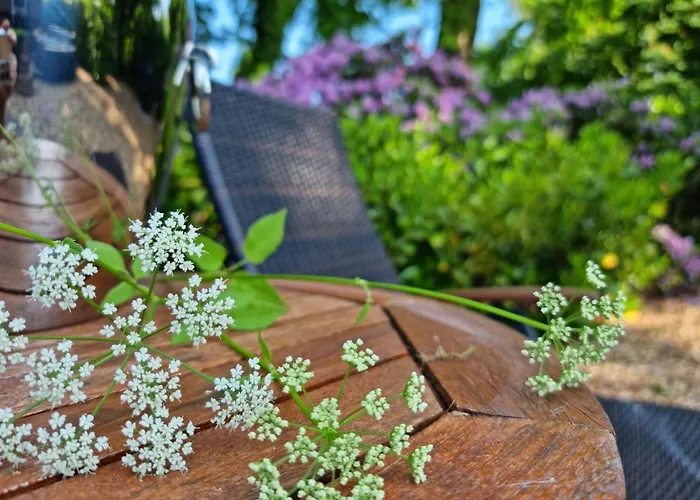 Gaestehaus Am Kattensteert