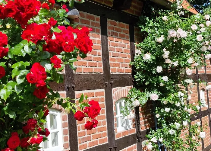 Gaestehaus Am Kattensteert * Borchel